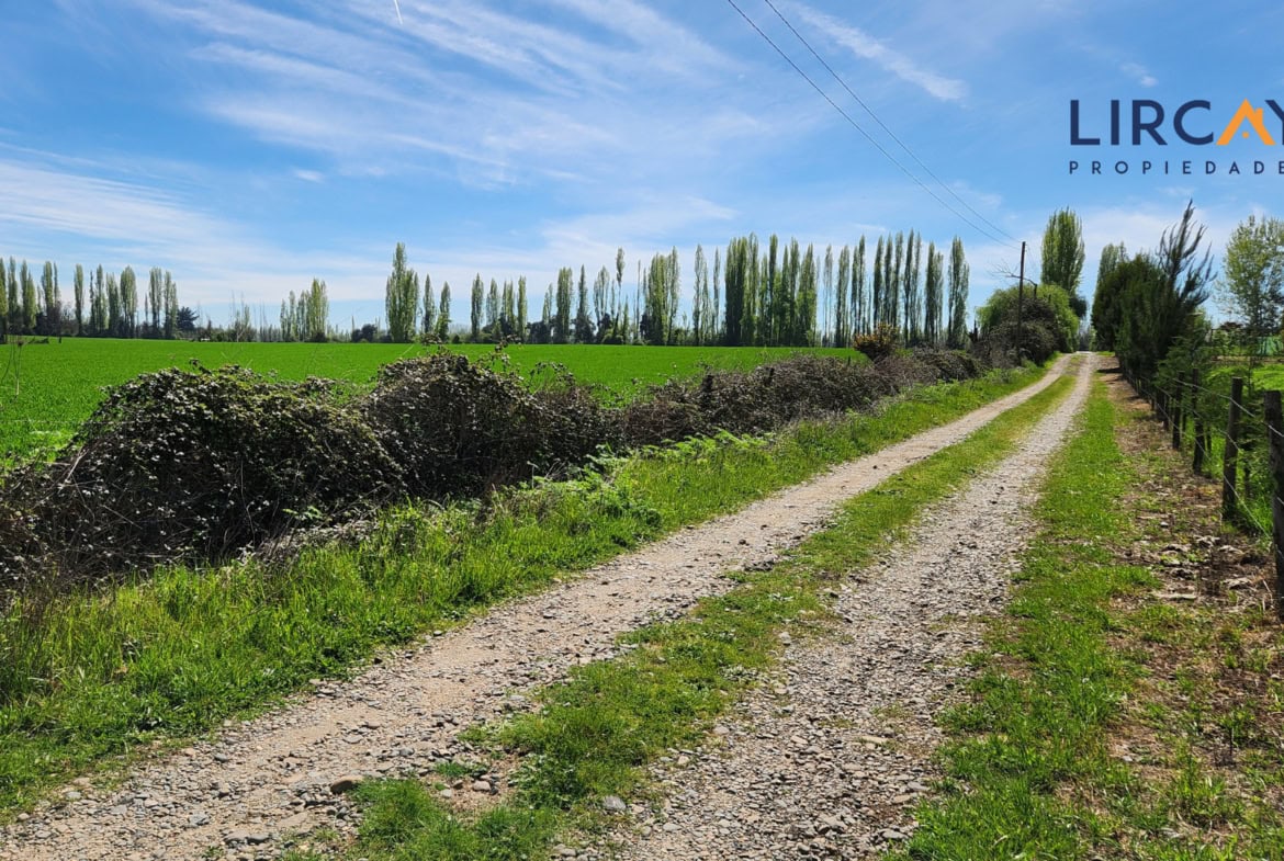 Gran Terreno en Venta comunas Parral-Retiro