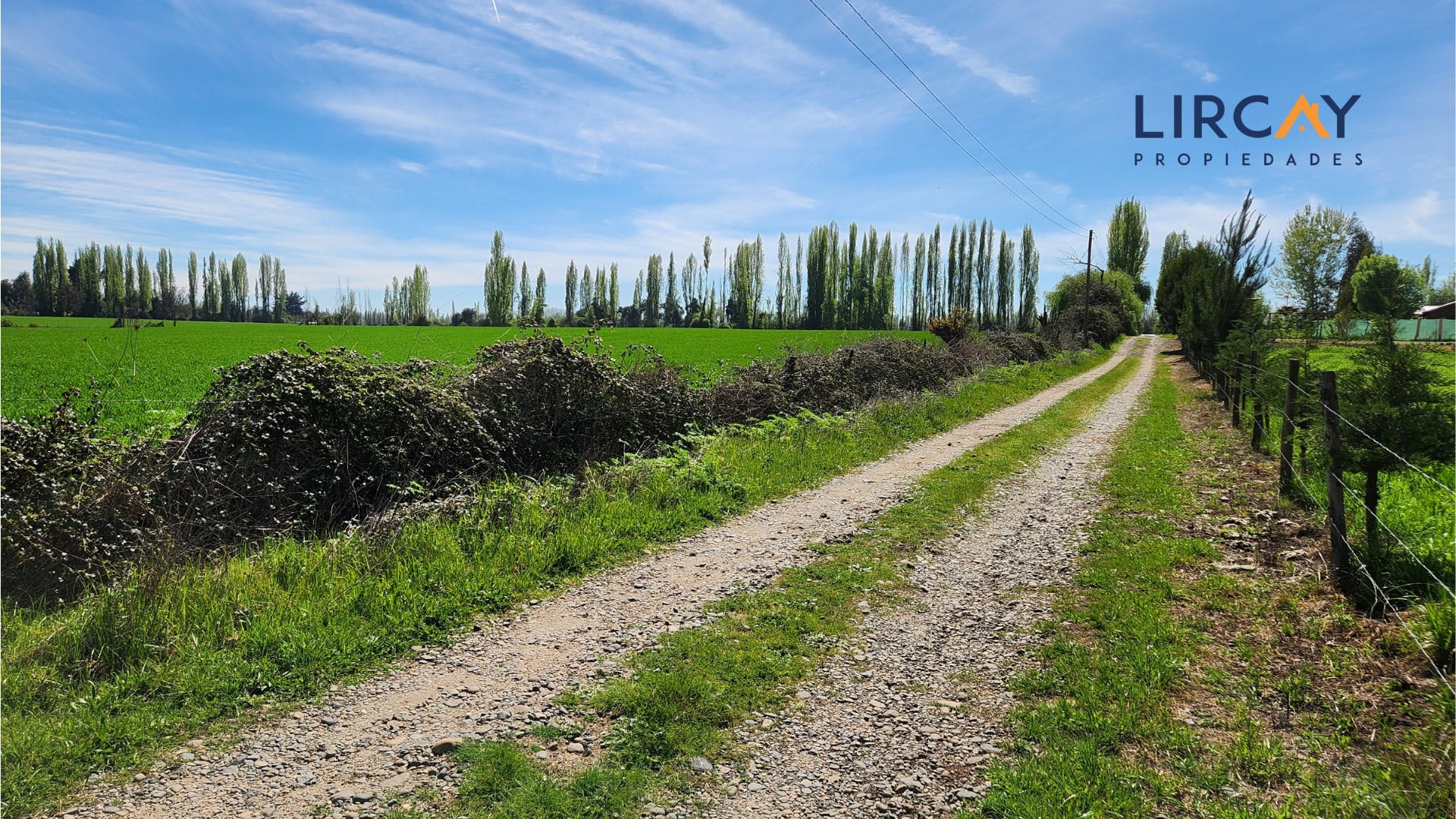 2 Gran Terreno en Venta comunas Parral-Retiro