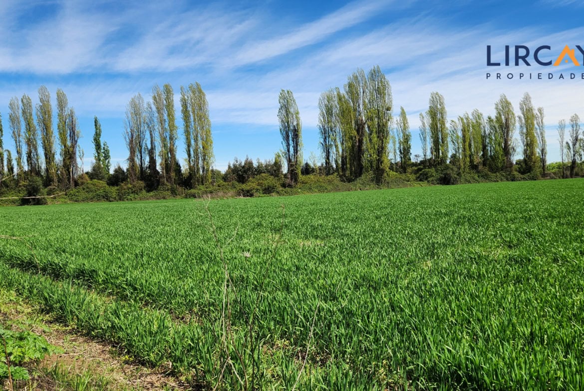 Gran Terreno en Venta comunas Parral-Retiro