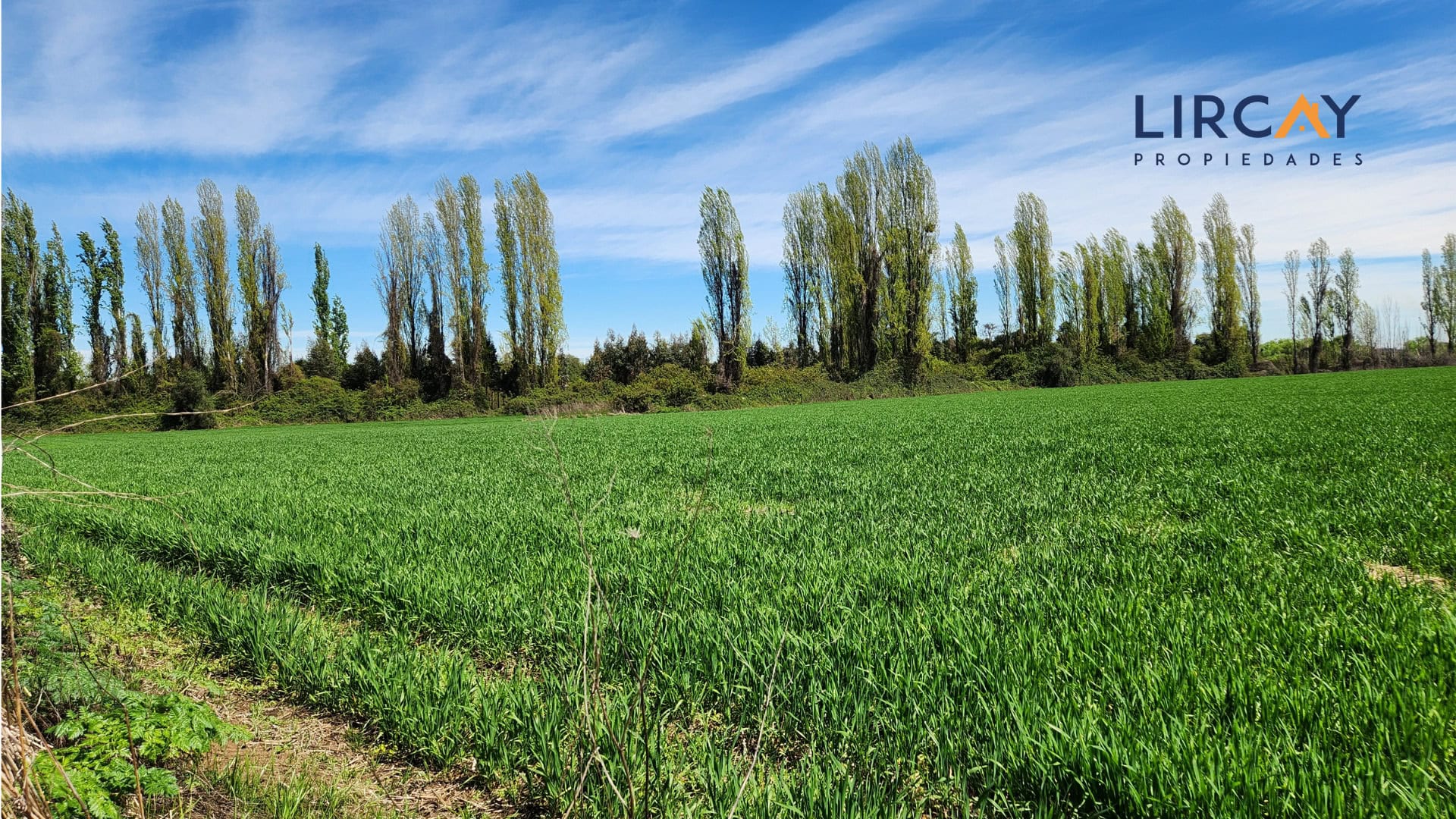 3 Gran Terreno en Venta comunas Parral-Retiro