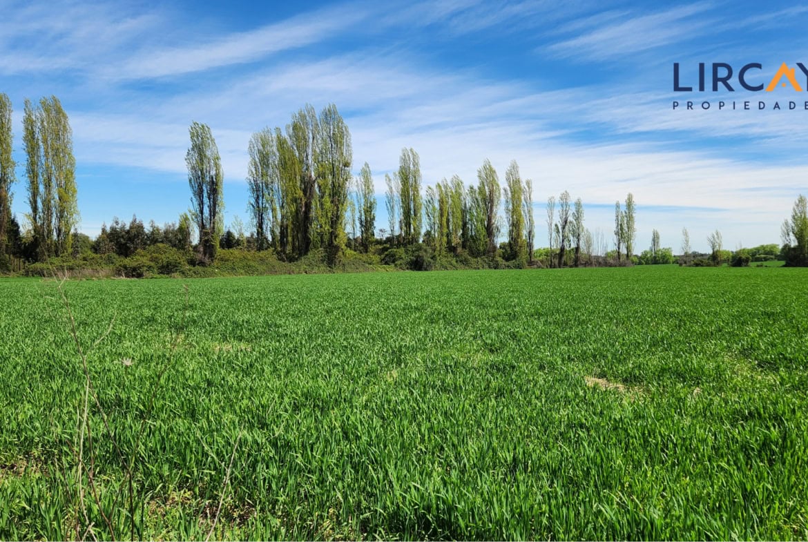 Gran Terreno en Venta comunas Parral-Retiro