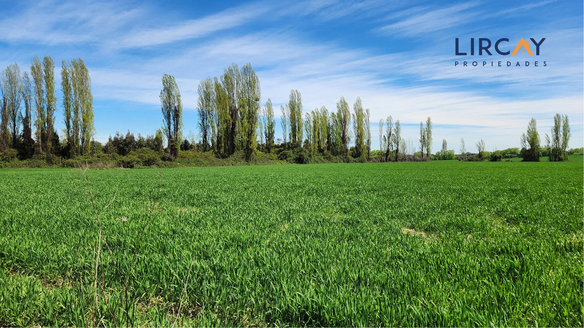 4 Gran Terreno en Venta comunas Parral-Retiro