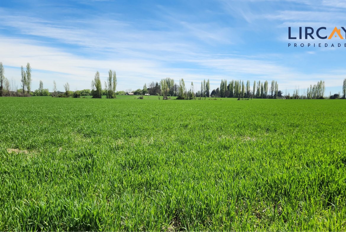 Gran Terreno en Venta comunas Parral-Retiro