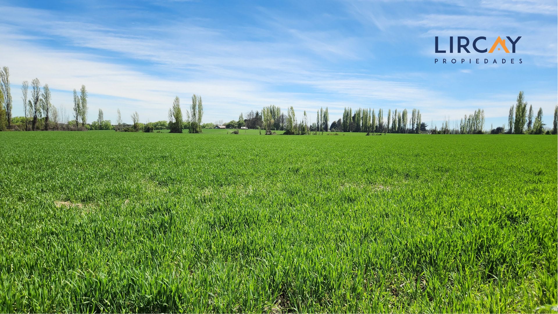 5 Gran Terreno en Venta comunas Parral-Retiro