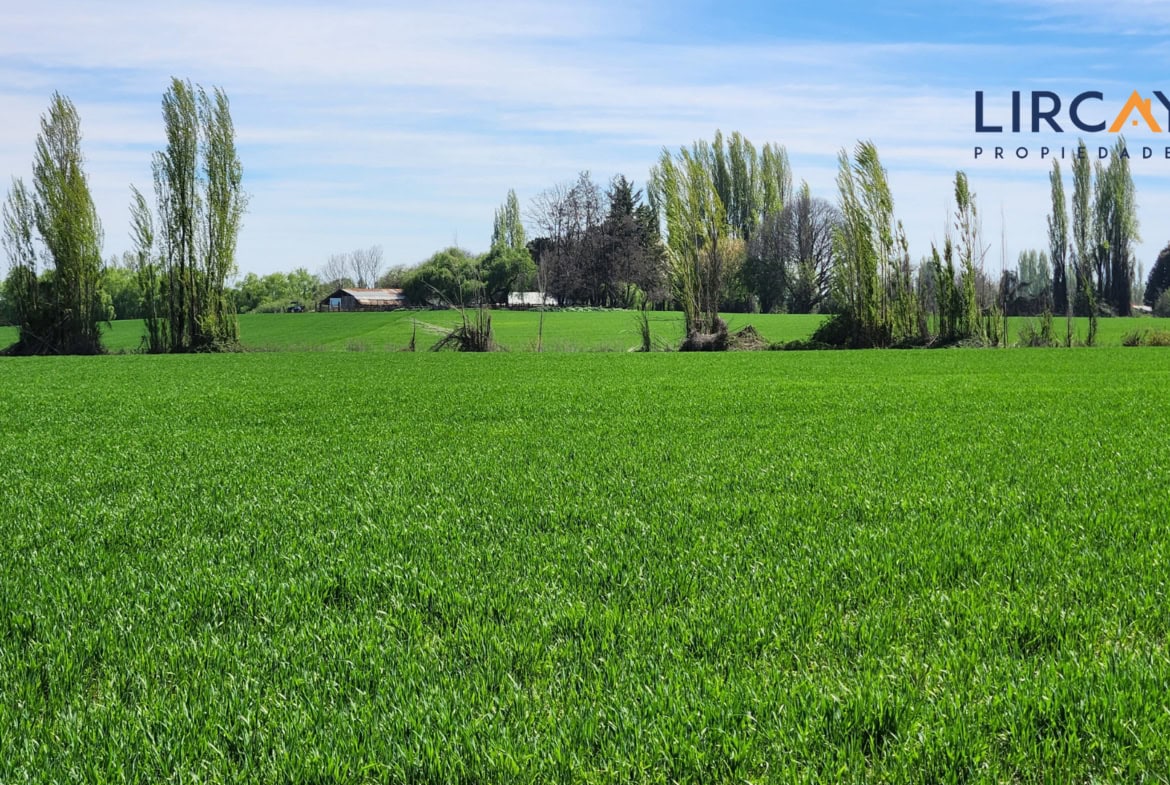 Gran Terreno en Venta comunas Parral-Retiro