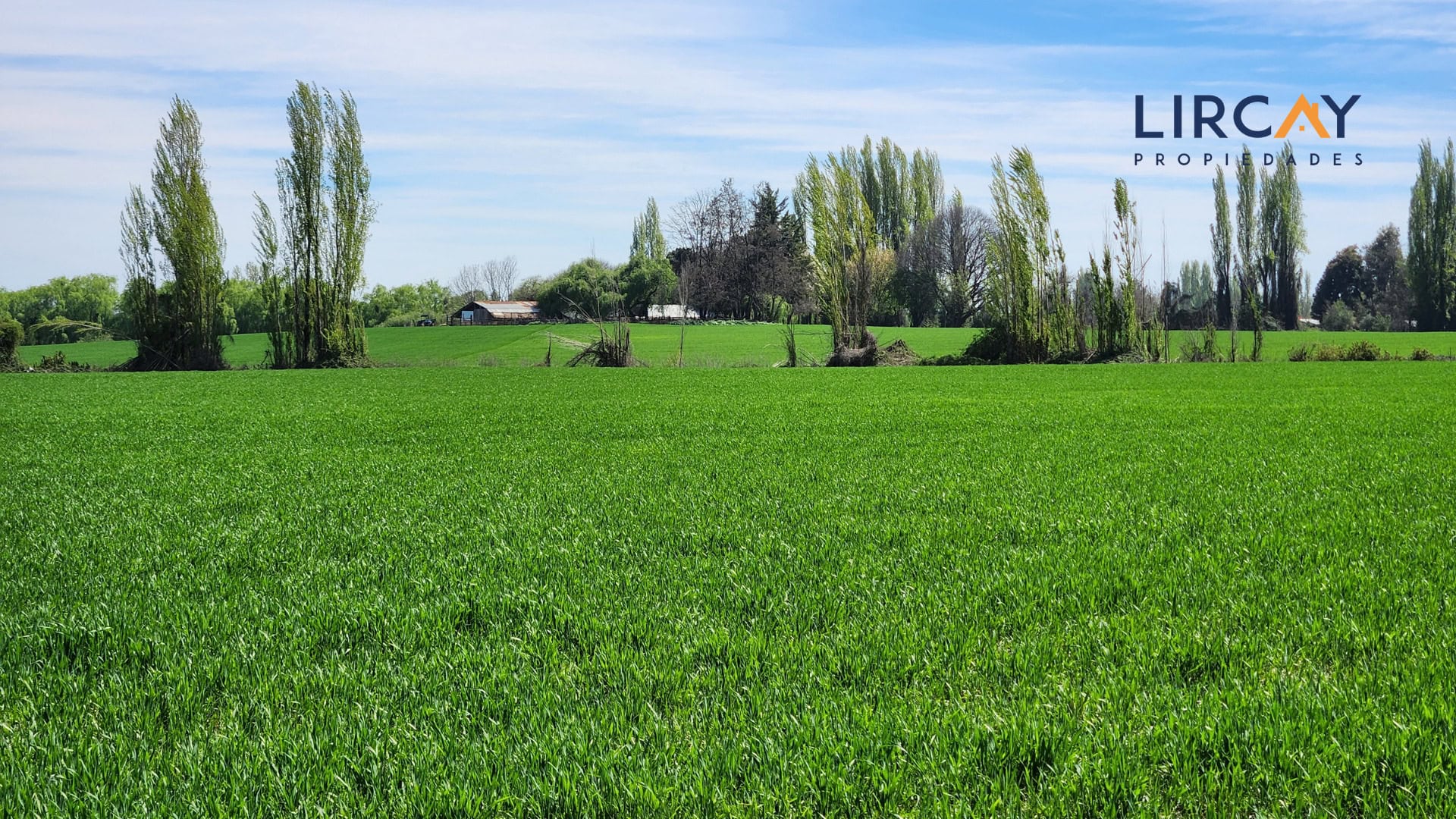 6 Gran Terreno en Venta comunas Parral-Retiro