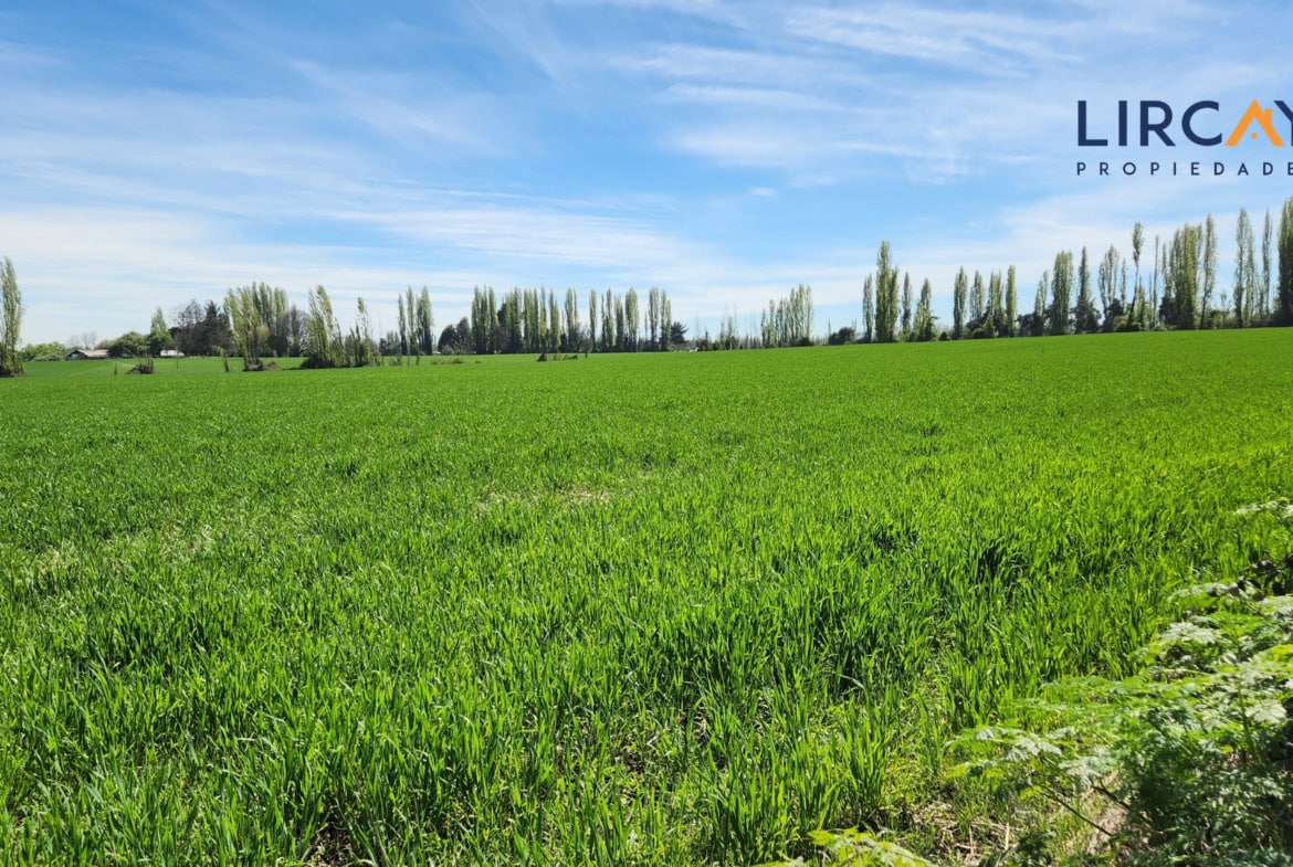 Gran Terreno en Venta comunas Parral-Retiro