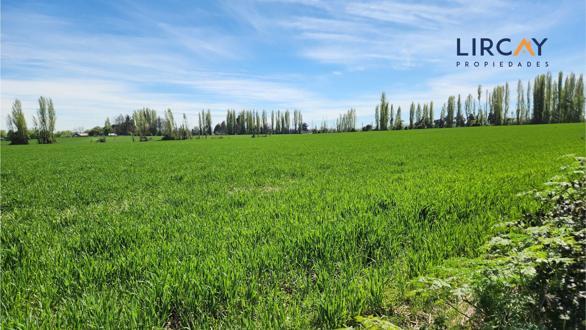 7 Gran Terreno en Venta comunas Parral-Retiro