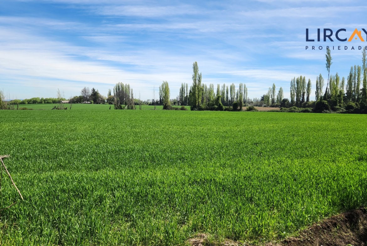 Gran Terreno en Venta comunas Parral-Retiro