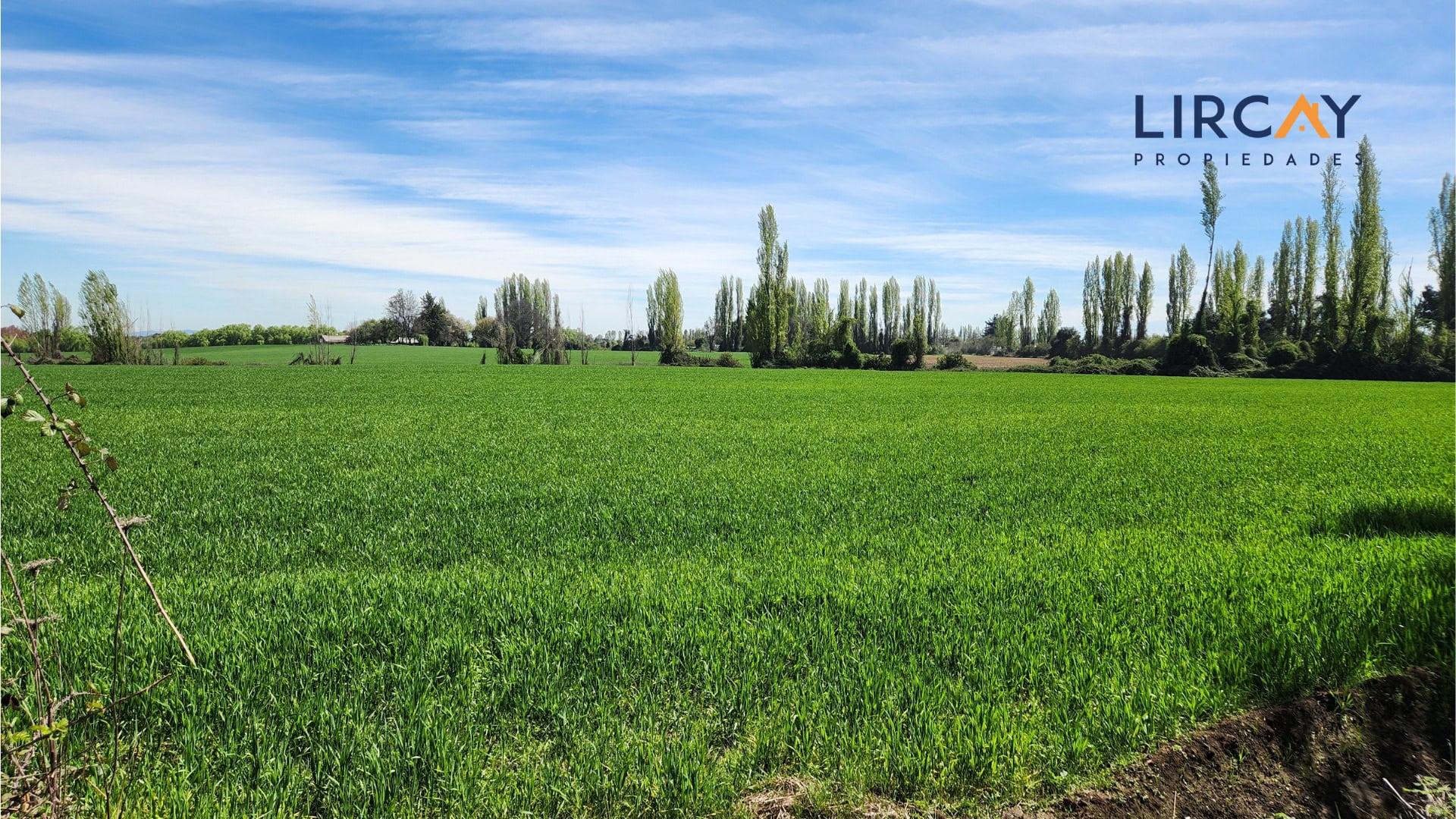 8 Gran Terreno en Venta comunas Parral-Retiro