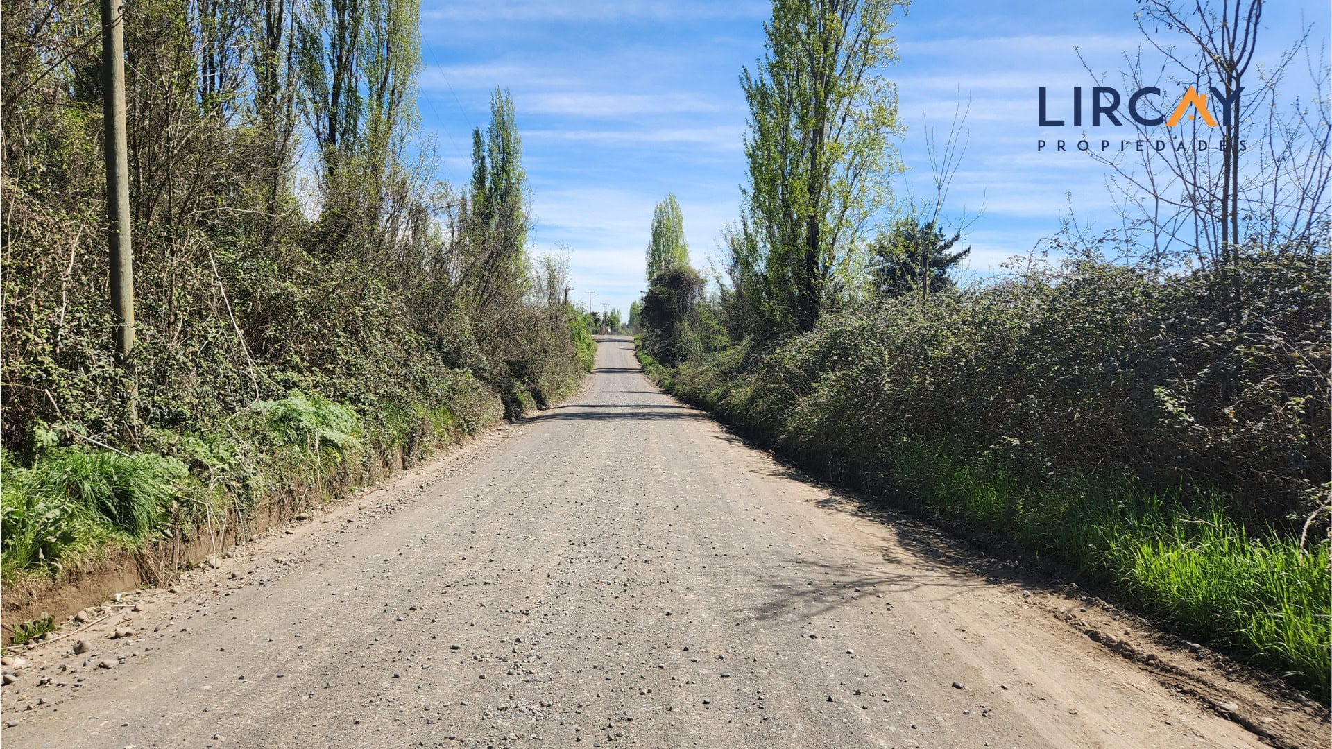 9 Gran Terreno en Venta comunas Parral-Retiro