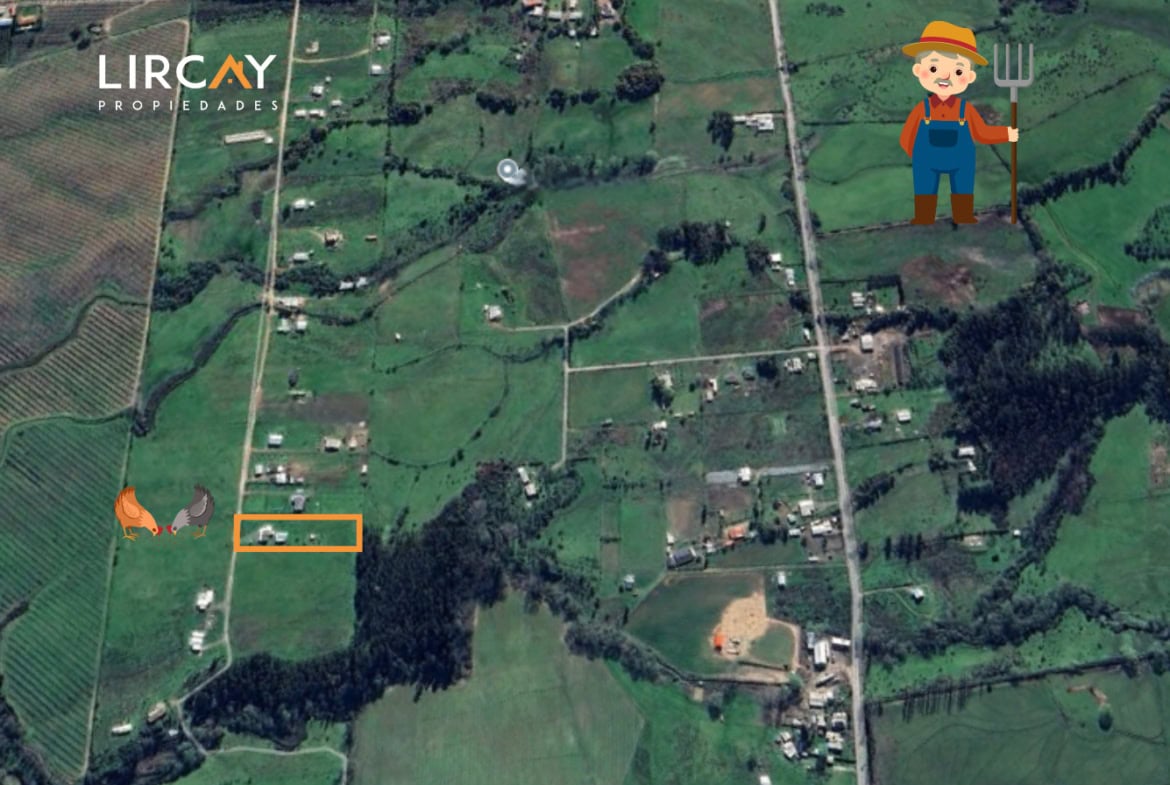 Parcela de 5.000 m² en San Rafael con Dos Casas Construidas y Terreno Plano